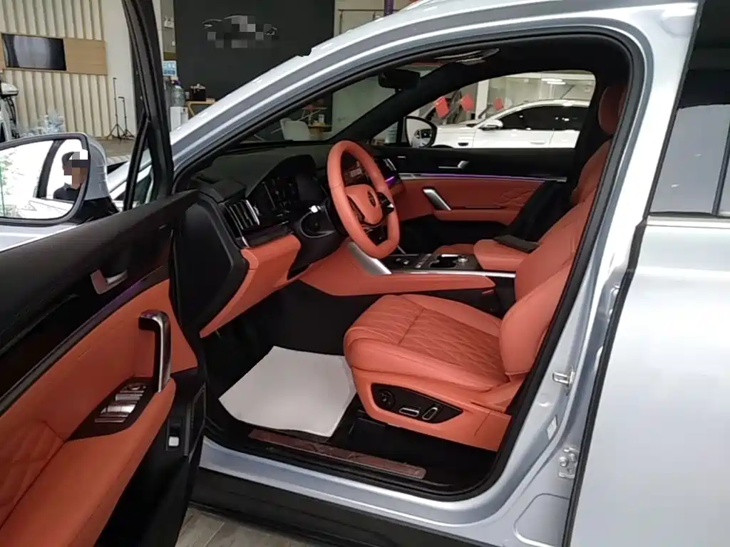 BYD Tang New Energy — миниатюра 15