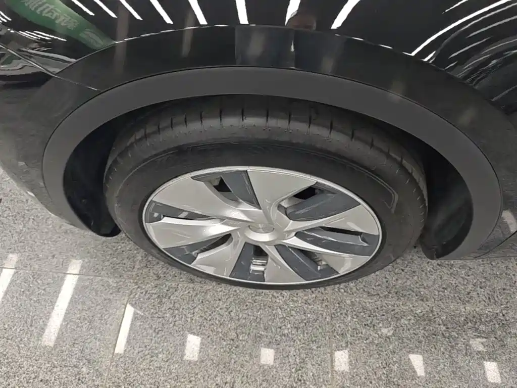 Tesla Model Y — миниатюра 23