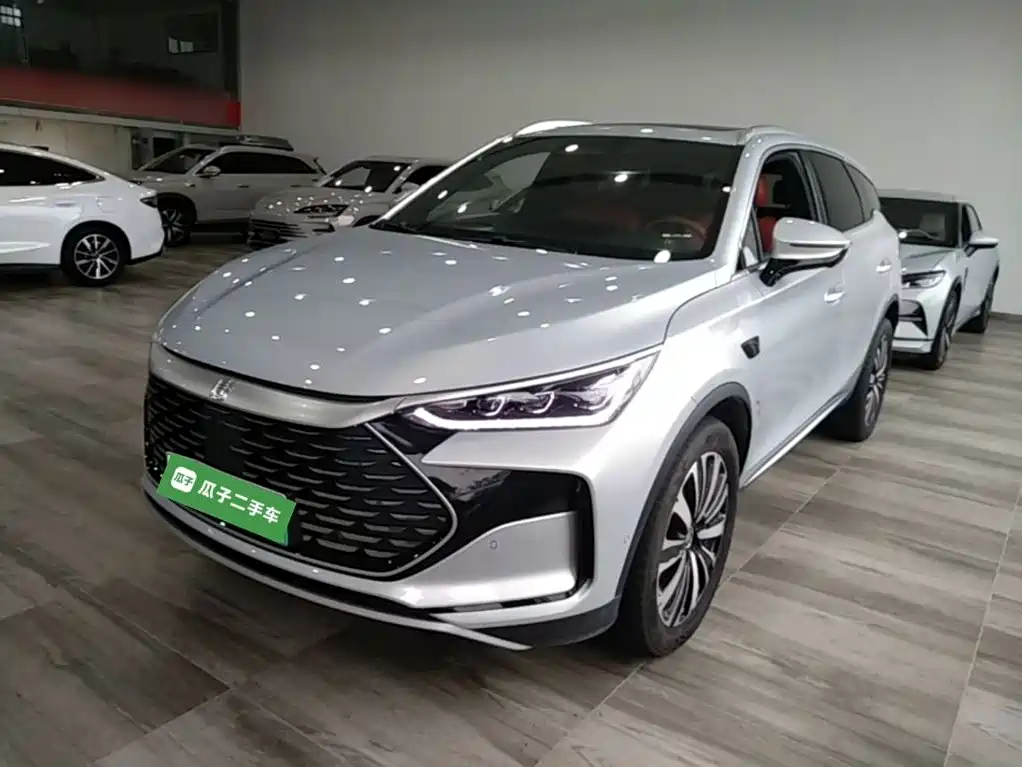 BYD Tang New Energy — миниатюра 2