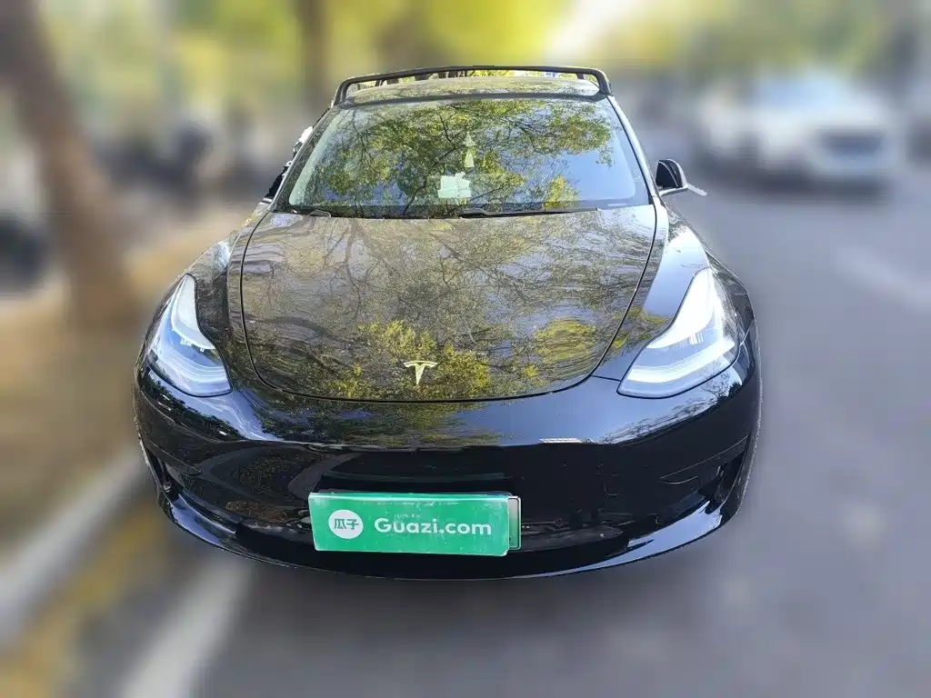 Tesla Model 3 — миниатюра 2