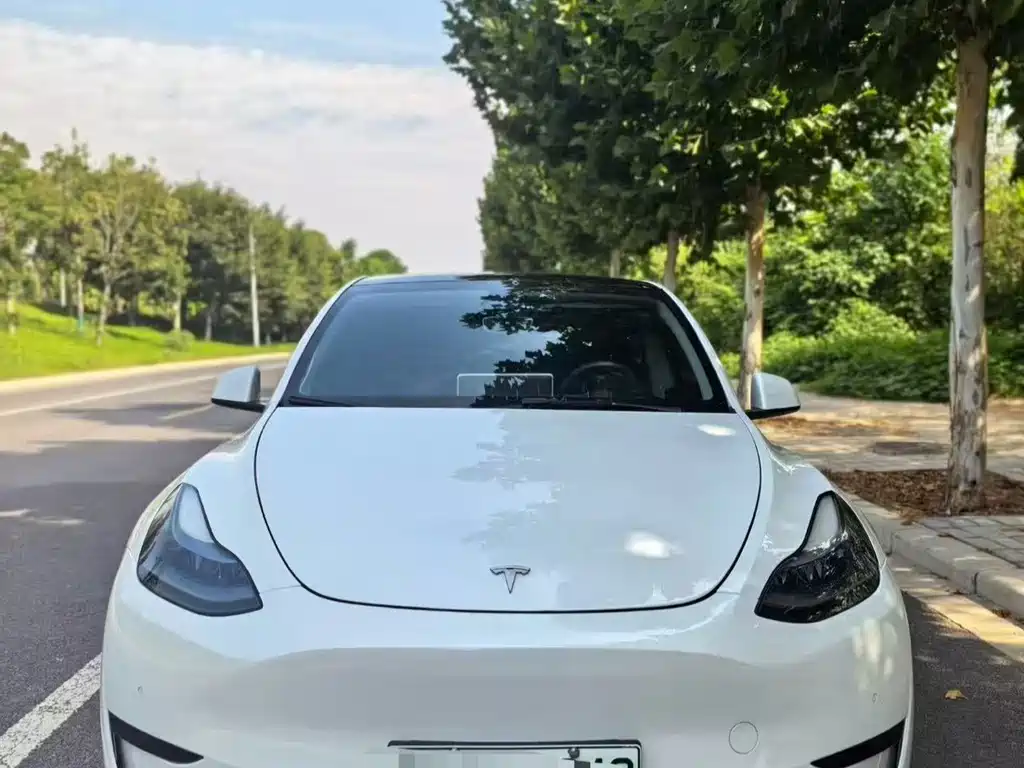 Tesla Model Y — миниатюра 3