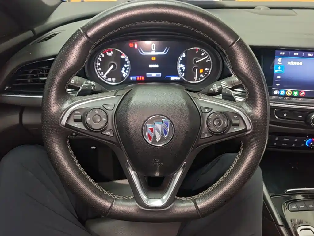 Buick Regal — миниатюра 11