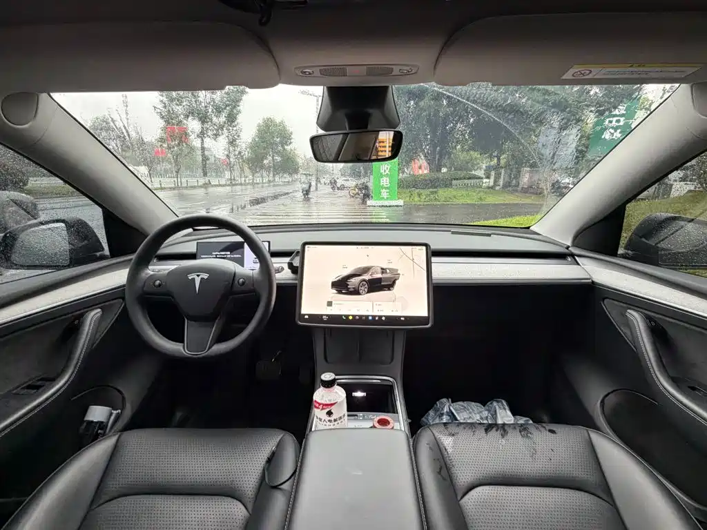 Tesla Model Y — миниатюра 13