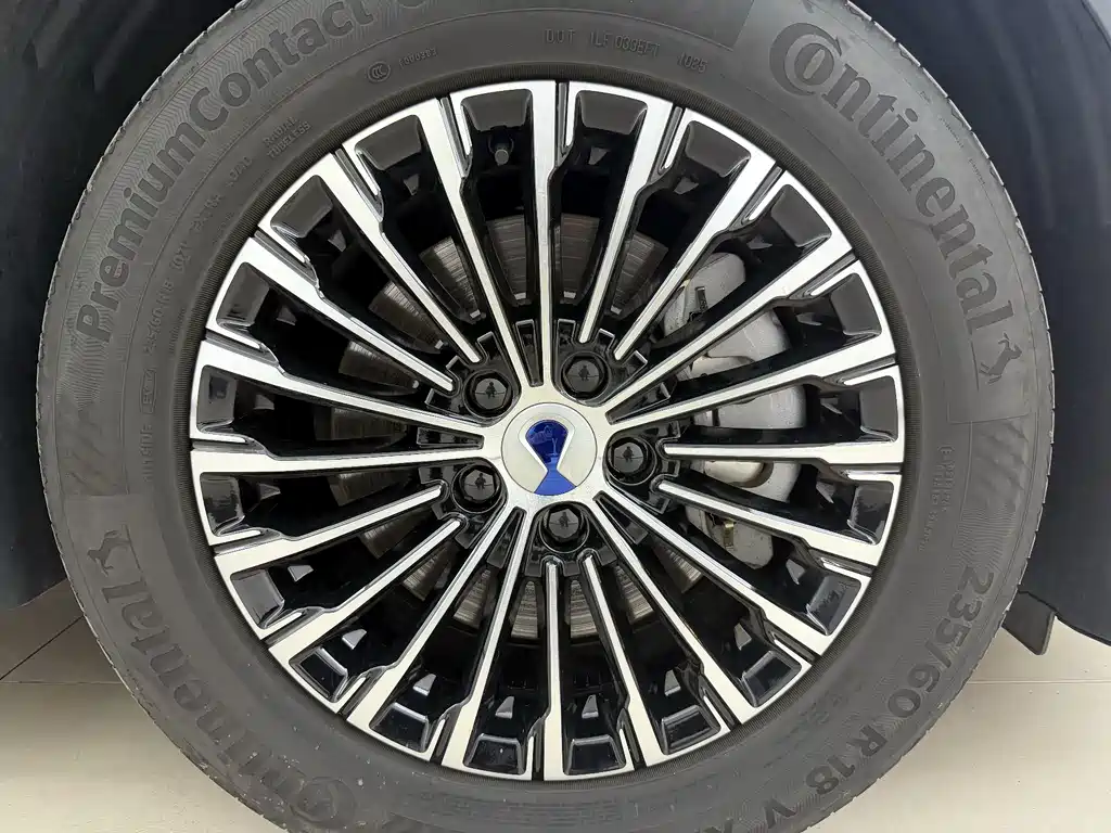 Denza Denza D9 — миниатюра 13