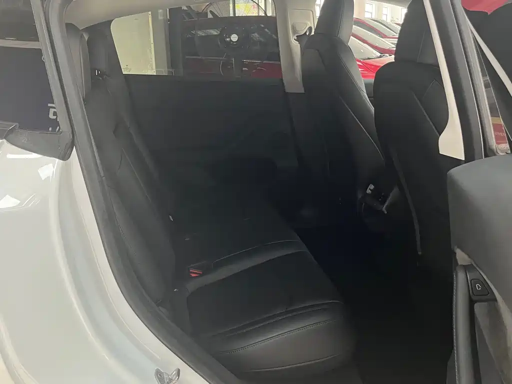 Tesla Model Y — миниатюра 10