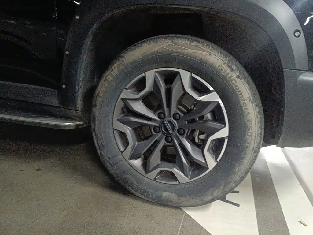Haval Big Dog — миниатюра 8