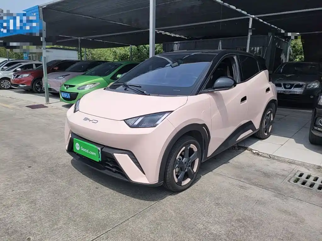 BYD Seagull 2023 Flying