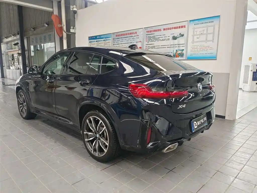 BMW X4 — миниатюра 8