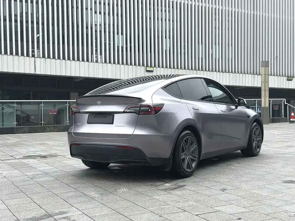 Tesla Model Y — миниатюра 5