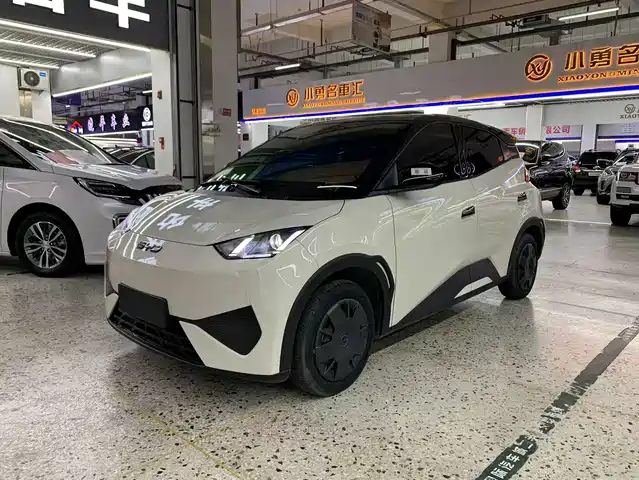 2025 BYD Seagull