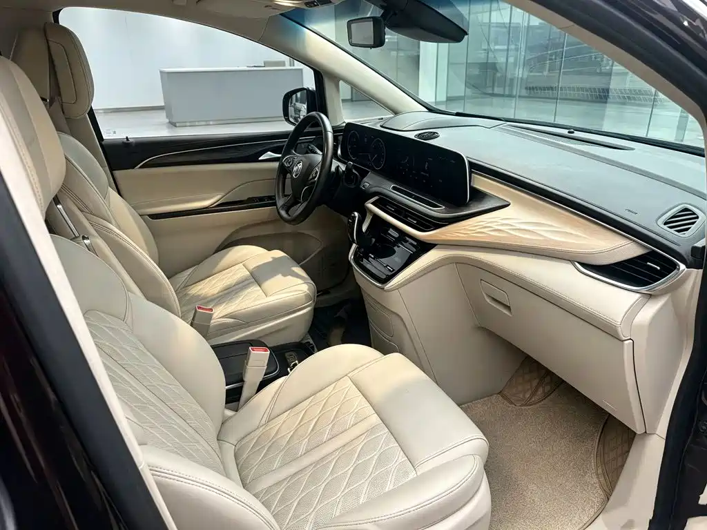 Buick GL8 — миниатюра 25
