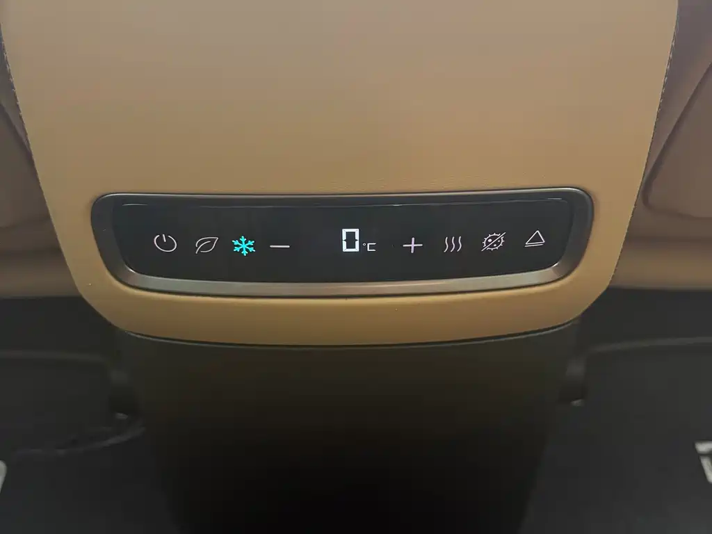 Denza Denza D9 — миниатюра 14