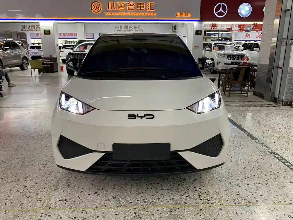 BYD Seagull 2025 305km Freedom