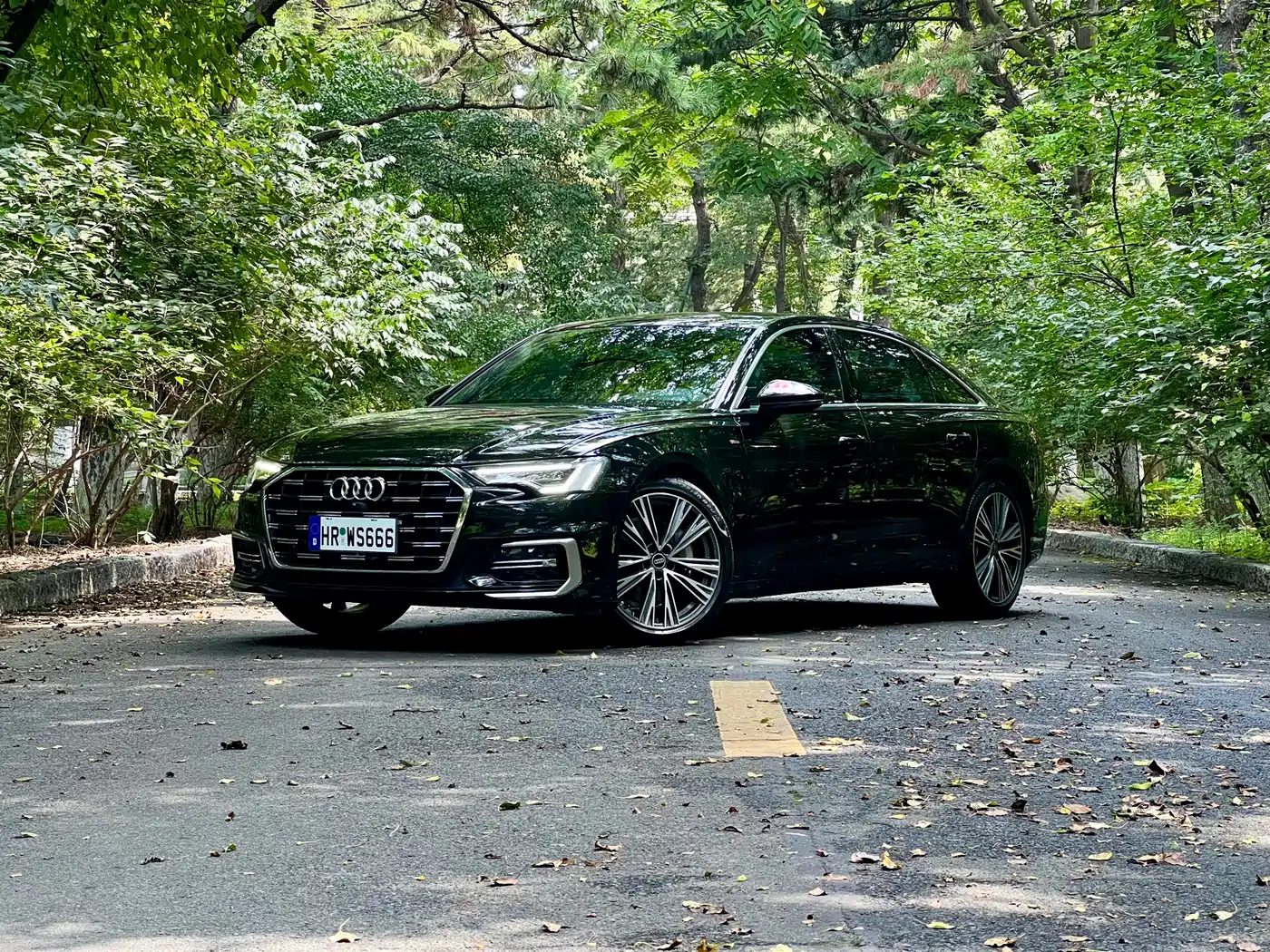 奥迪A6L 2024款 45 TFSI 臻选动感型 2024