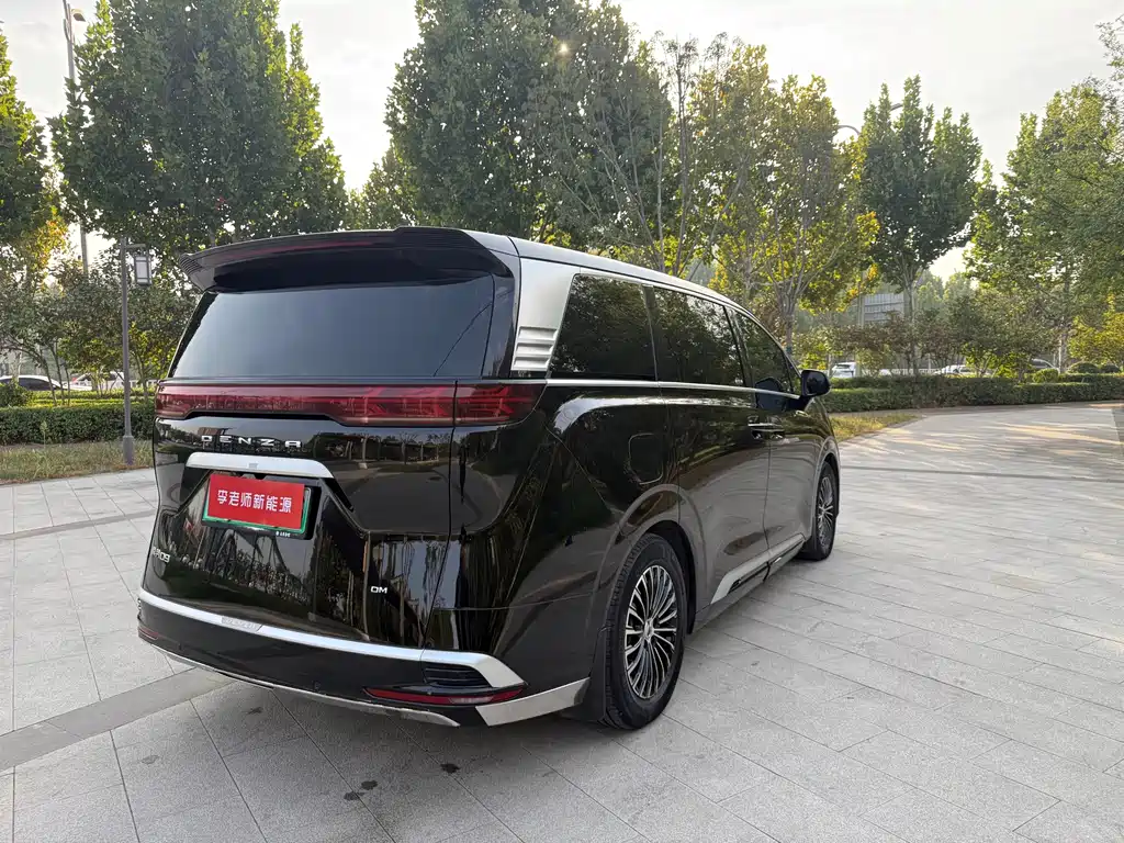 Denza Denza D9 — миниатюра 8