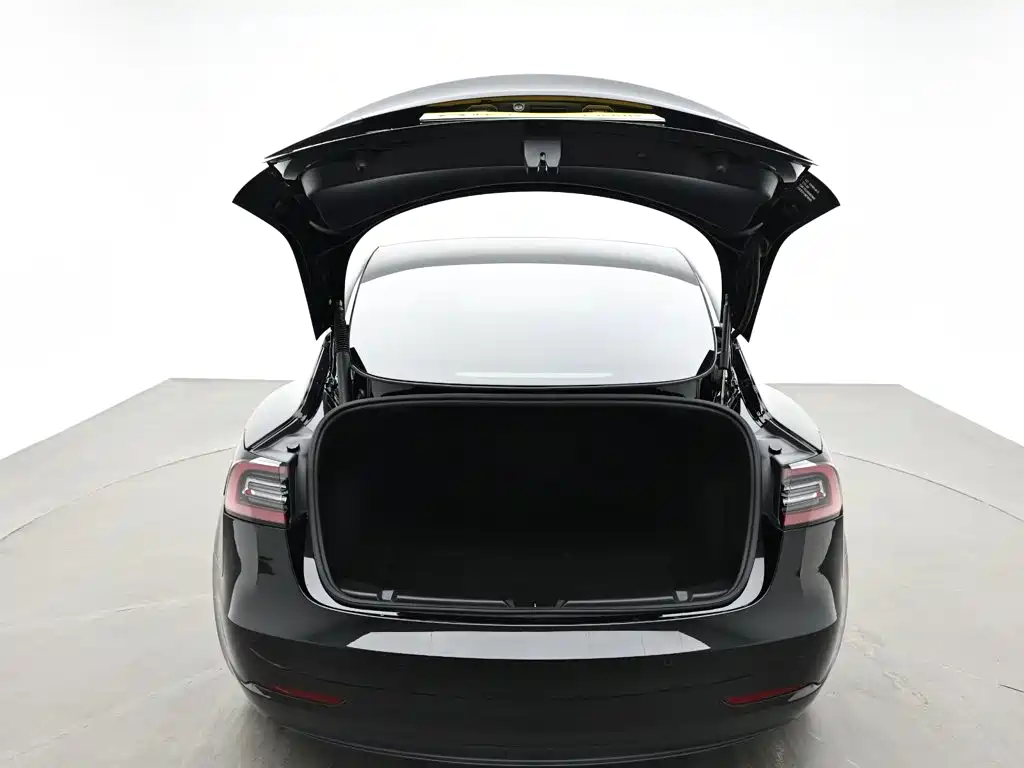 Tesla Model 3 — миниатюра 10