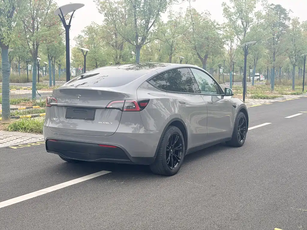 Tesla Model Y — миниатюра 11