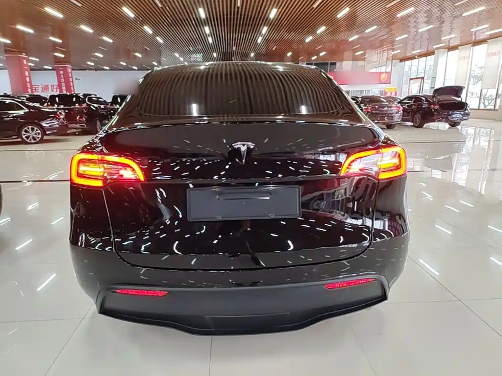 Tesla Model Y — миниатюра 6