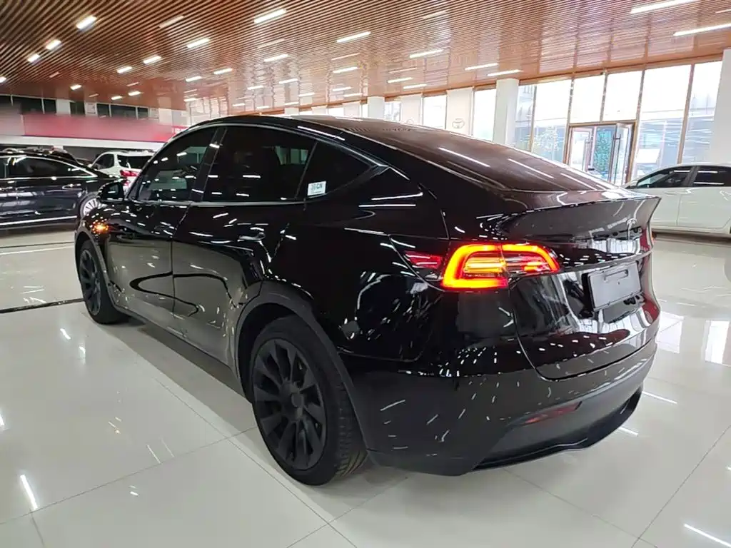 Tesla Model Y — миниатюра 5