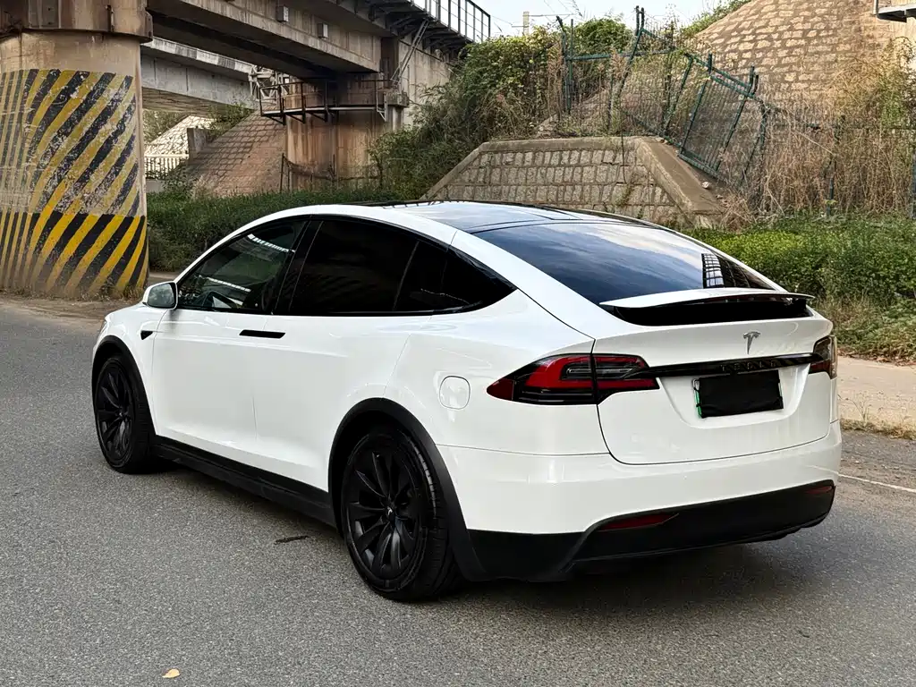 Tesla Model X — миниатюра 2