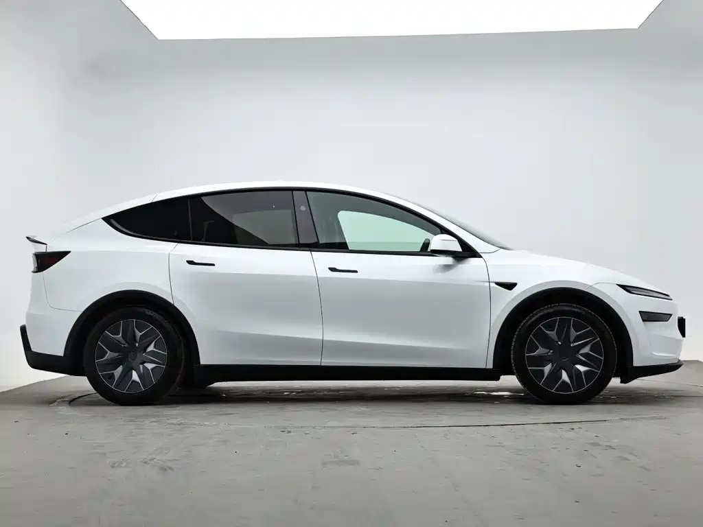 Tesla Model Y L — миниатюра 5