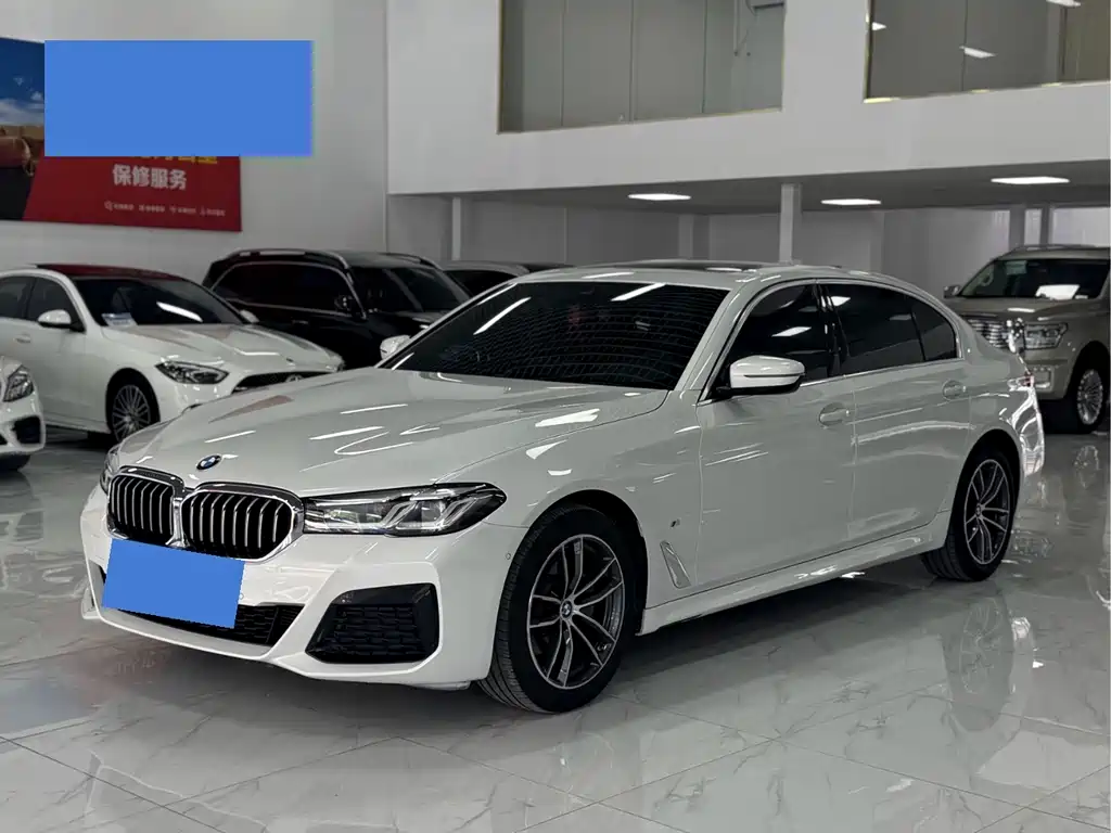 BMW 5 Series 2021