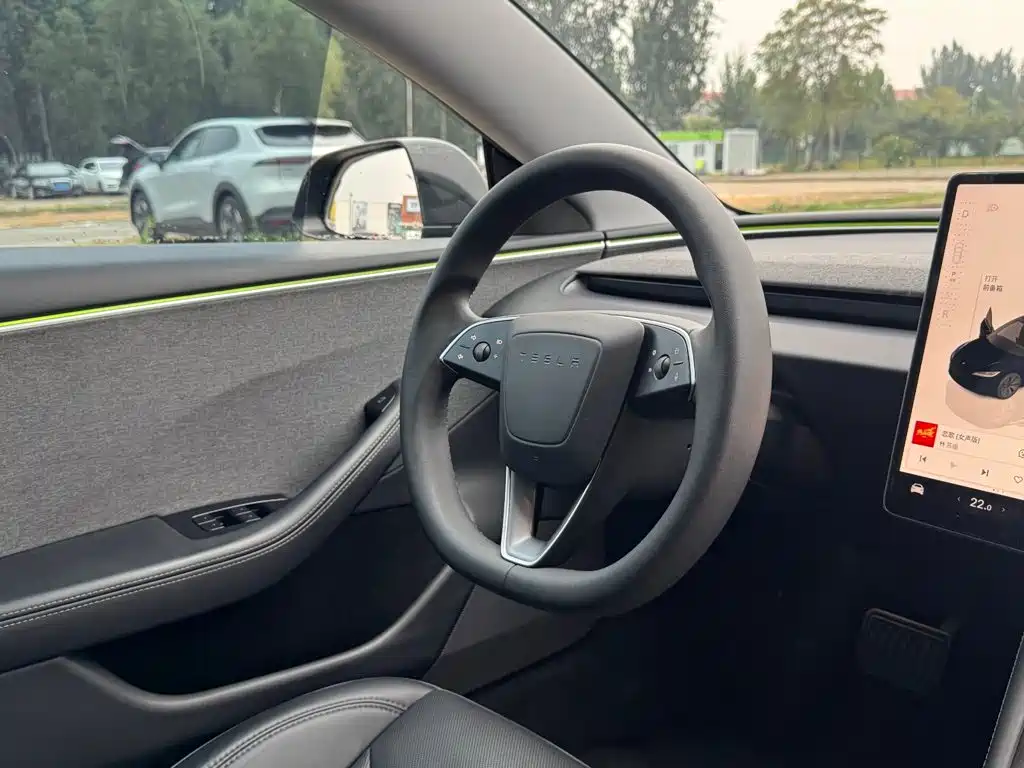 Tesla Model 3 — миниатюра 26