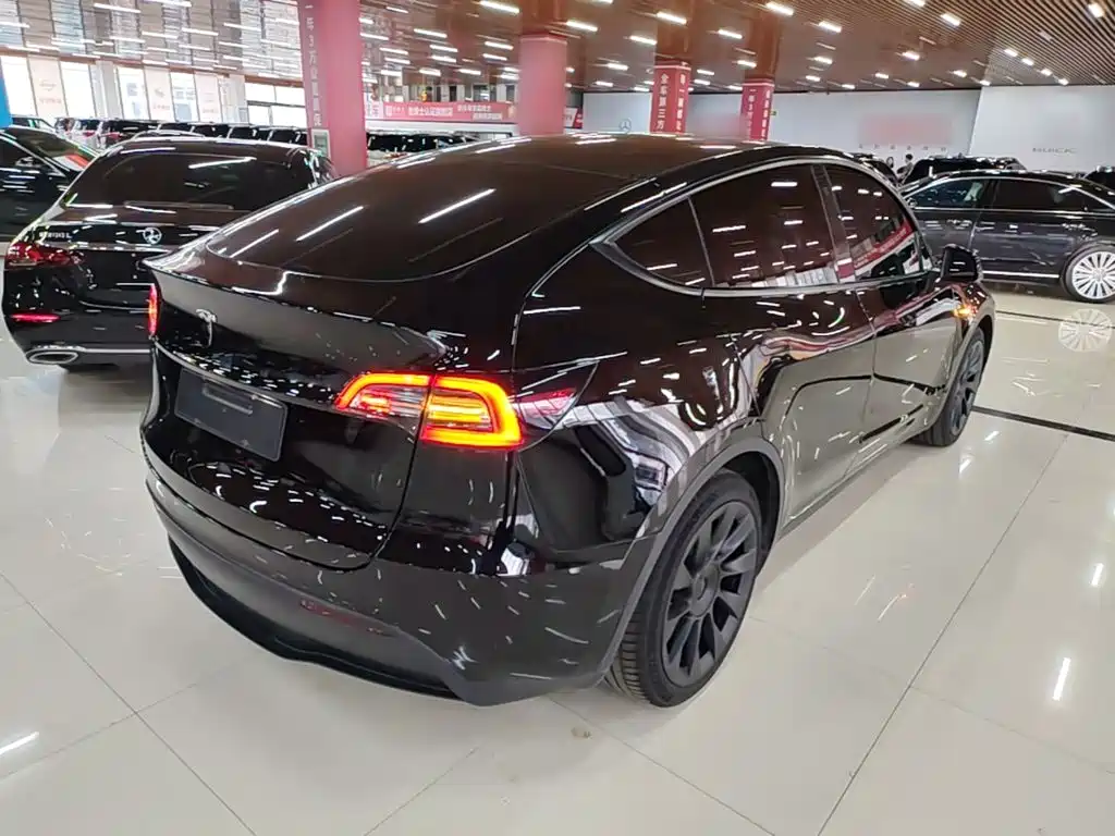 Tesla Model Y — миниатюра 7