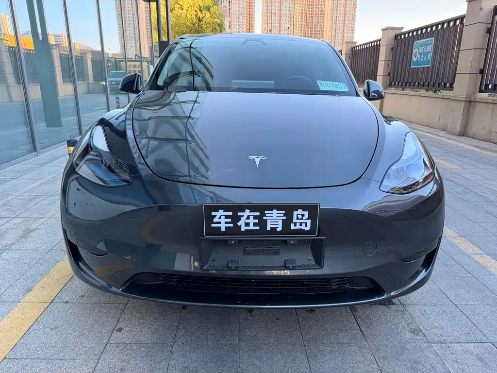 Tesla Model Y — миниатюра 2