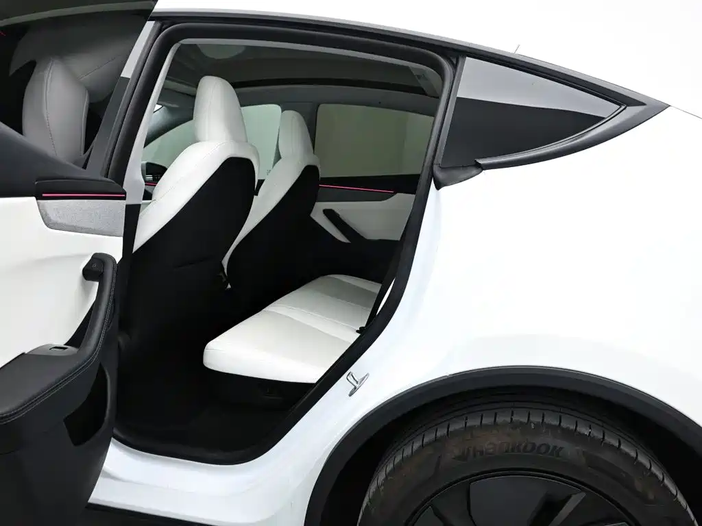Tesla Model Y — миниатюра 13