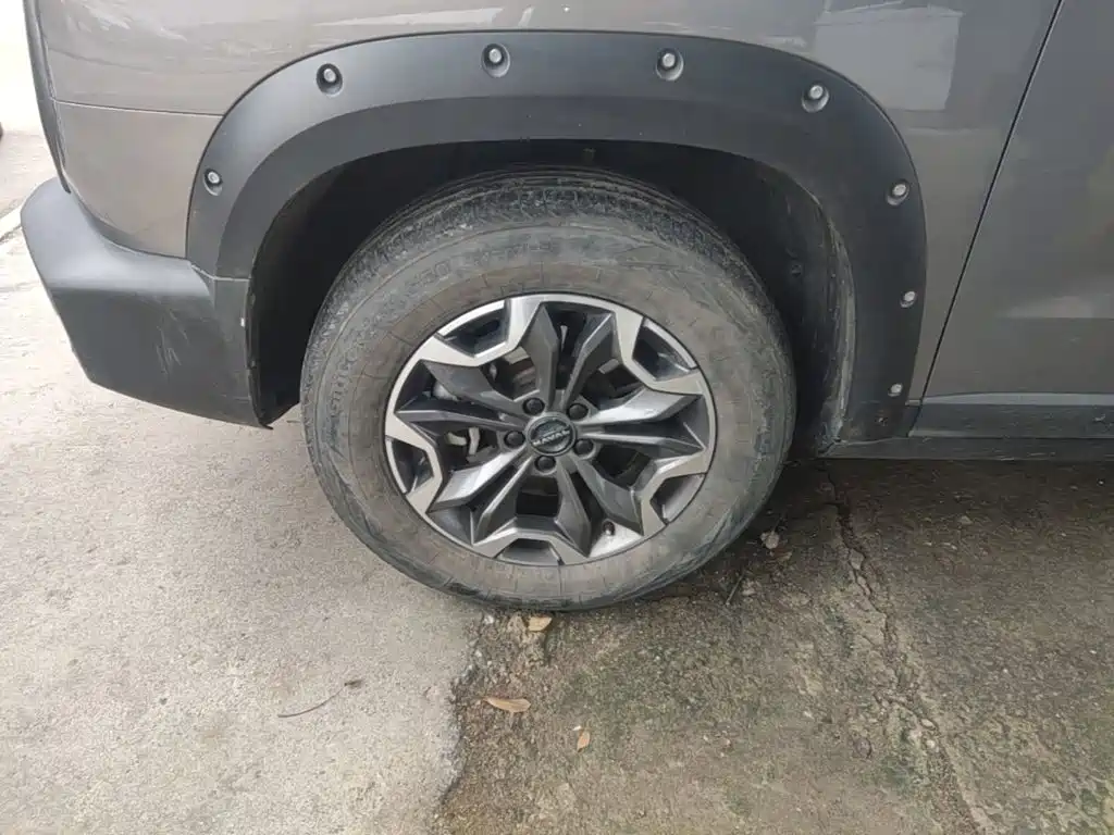 Haval Big Dog — миниатюра 23