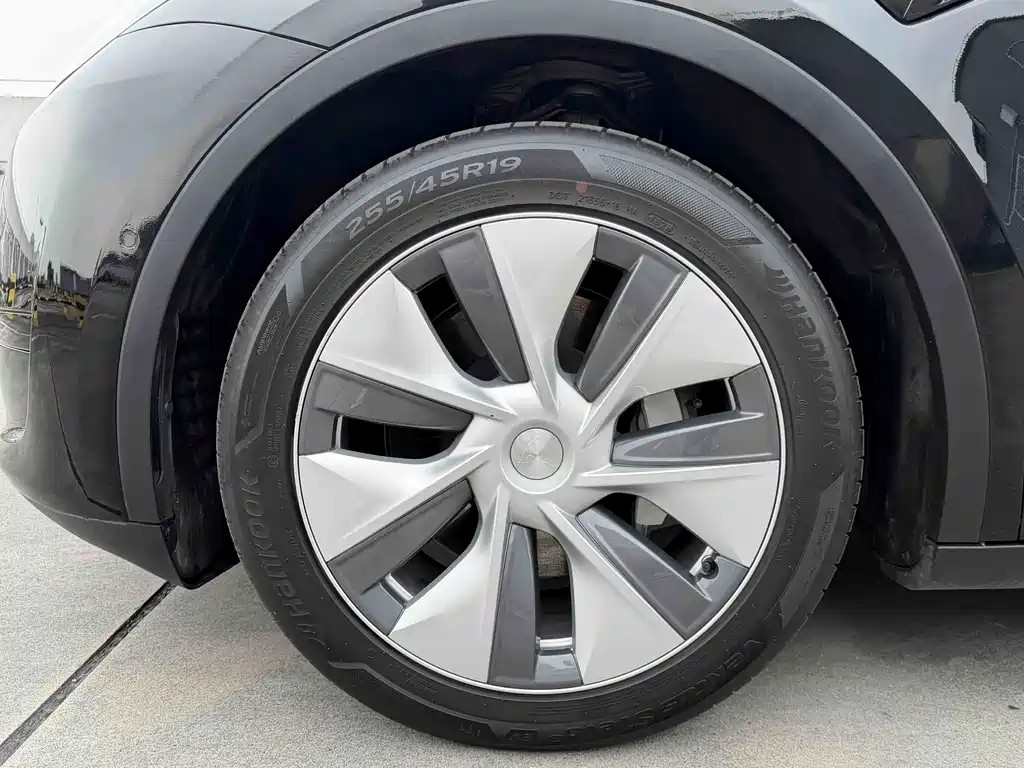 Tesla Model Y — миниатюра 13