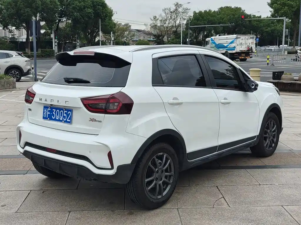 Rayleigh Ruilan X3 PRO — миниатюра 4