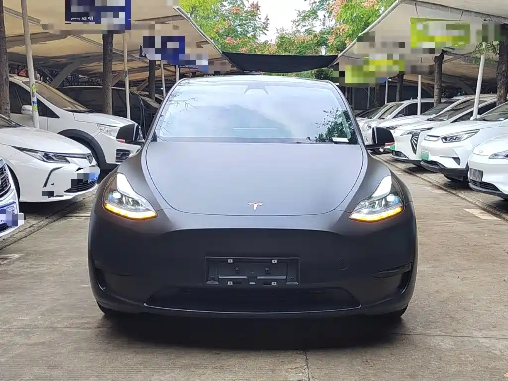 Tesla Model Y — миниатюра 3