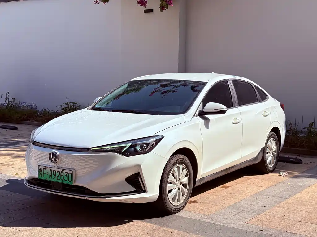 CHANGAN YIDONG NEW ENERGY