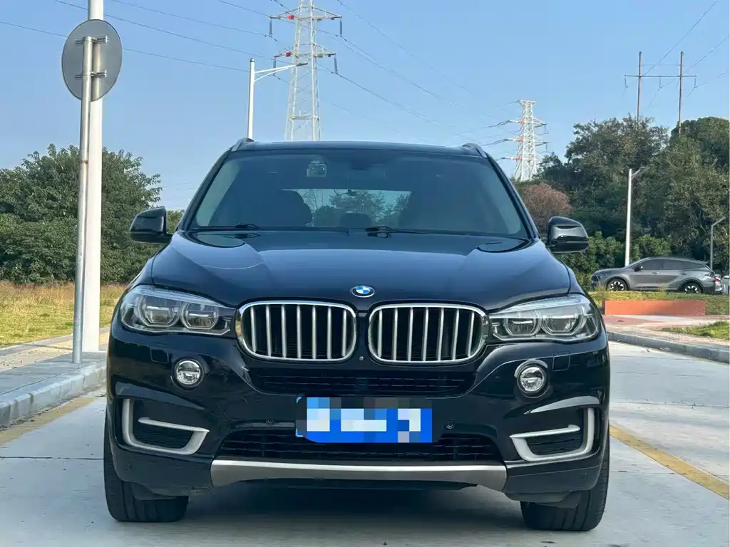 BMW X5 (Import) — миниатюра 2