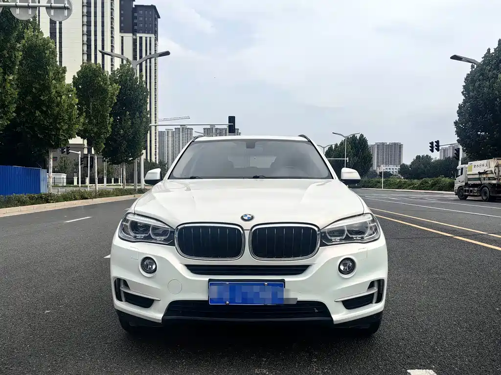 BMW X5 (Import) — миниатюра 2