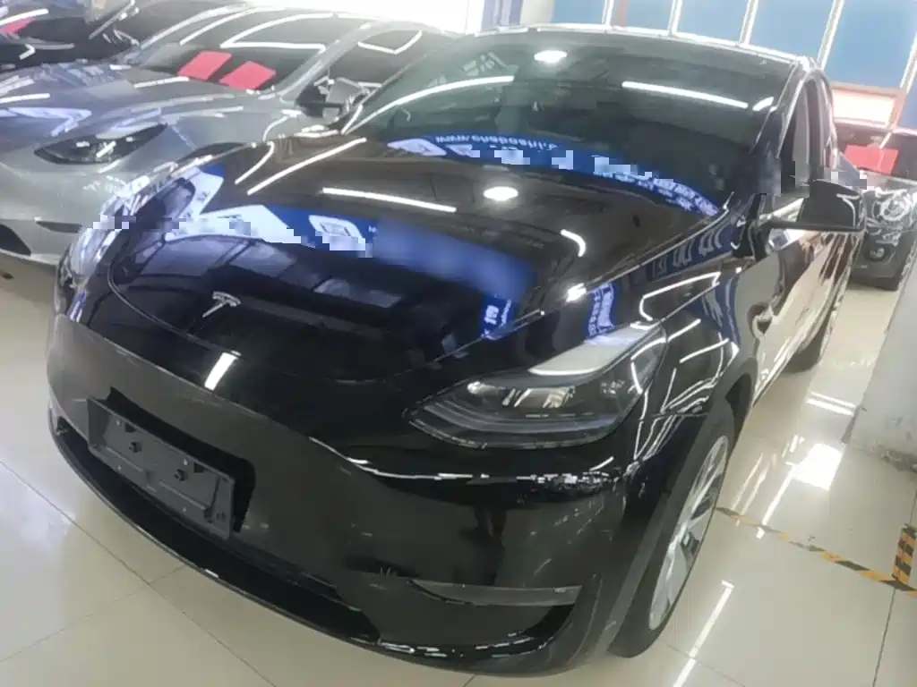 Tesla Model Y — миниатюра 2
