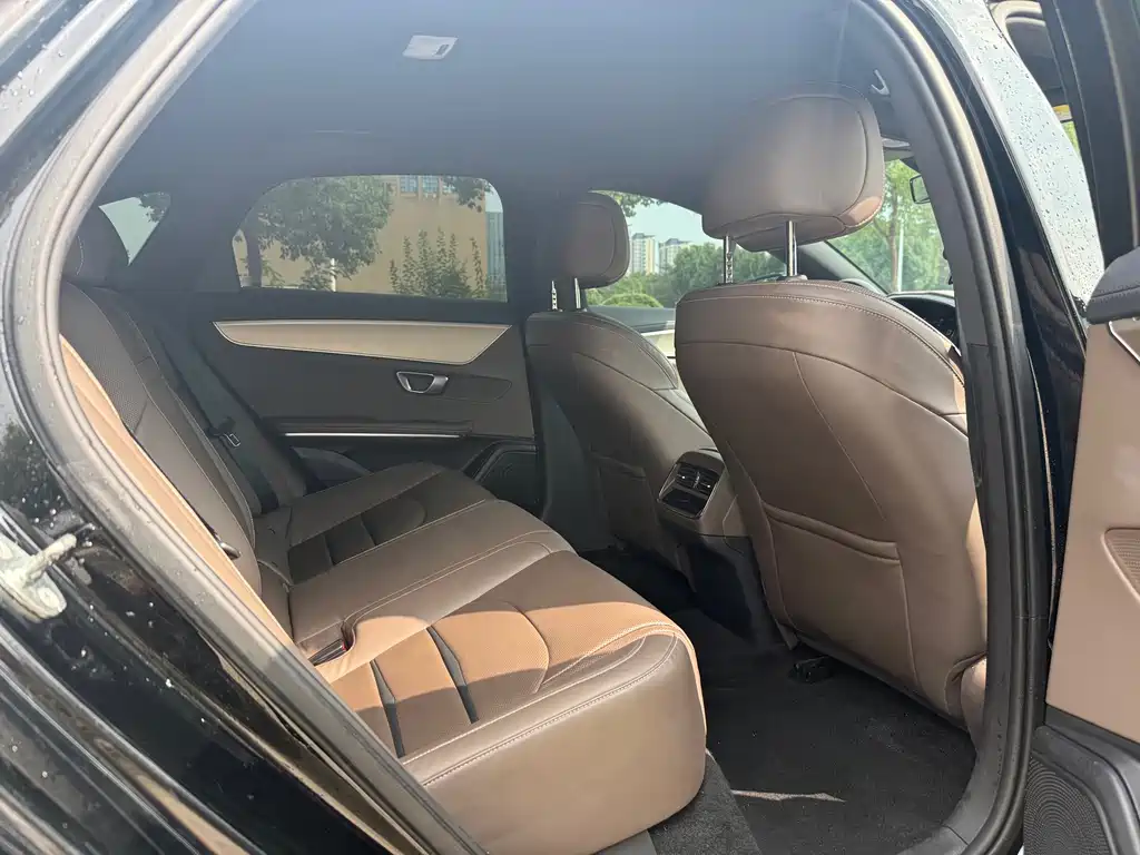 BYD e9 — миниатюра 11