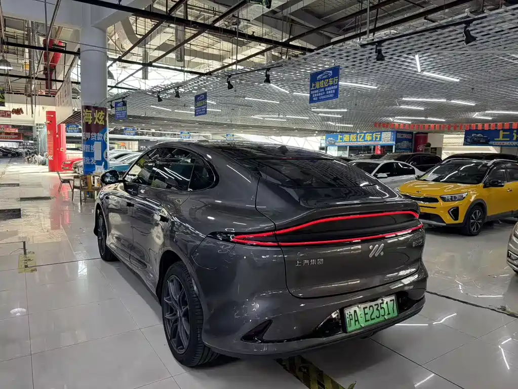 IM IM LS6 — миниатюра 10