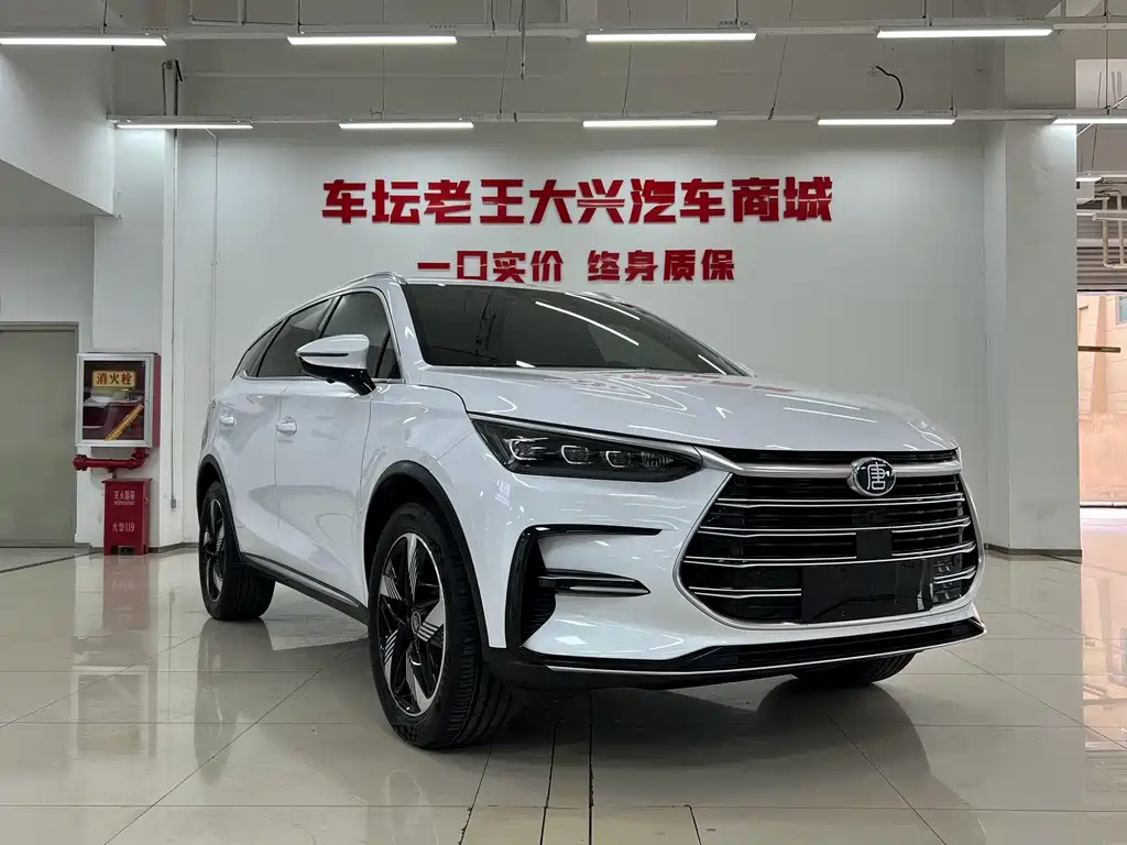 BYD Tang New Energy — миниатюра 3