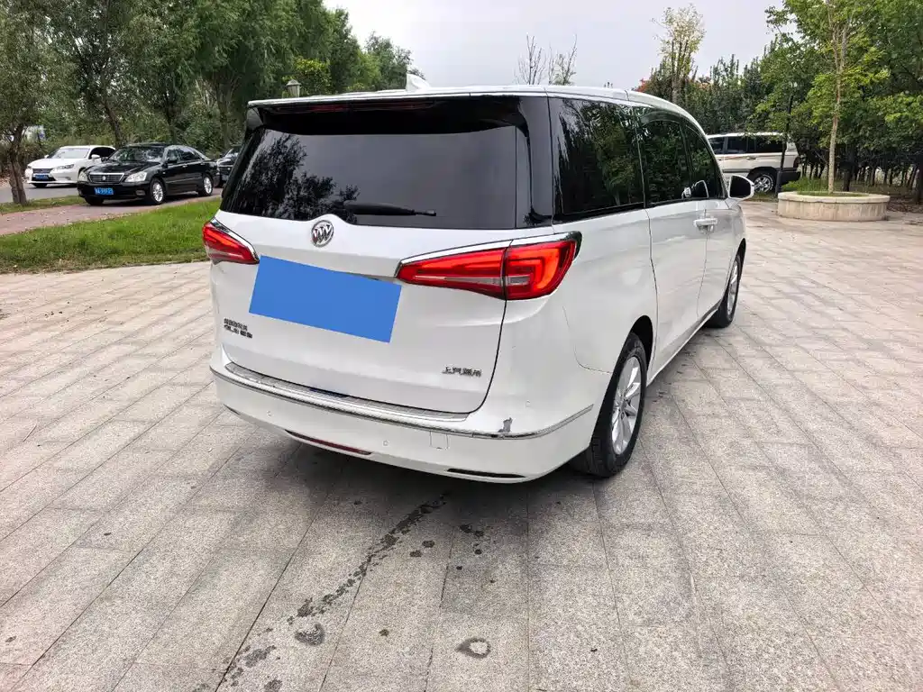 Buick GL8 — миниатюра 4
