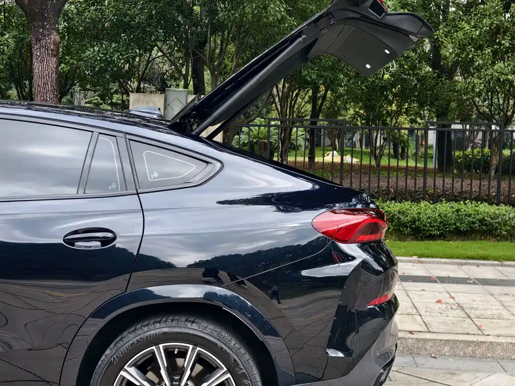 BMW X6 — миниатюра 17