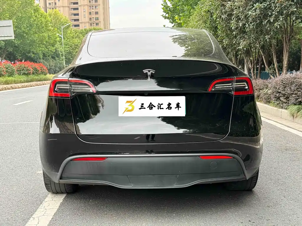 Tesla Model Y — миниатюра 9