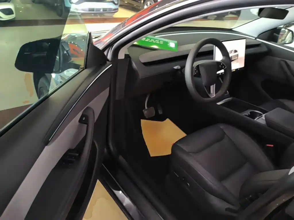 Tesla Model Y — миниатюра 16