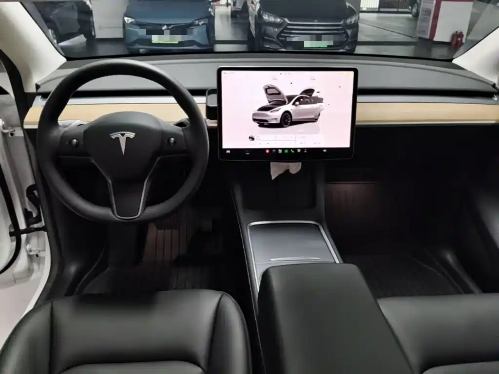 Tesla Model Y — миниатюра 10