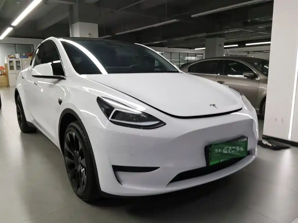 Tesla Model Y — миниатюра 4