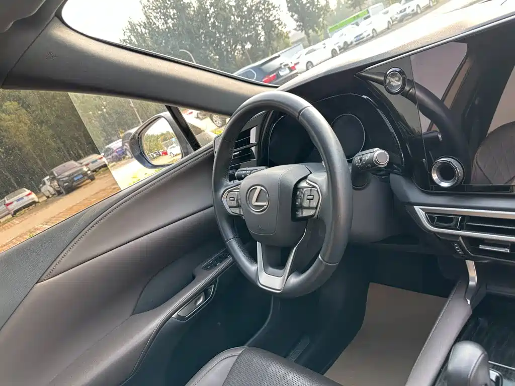 Lexus RX — миниатюра 20