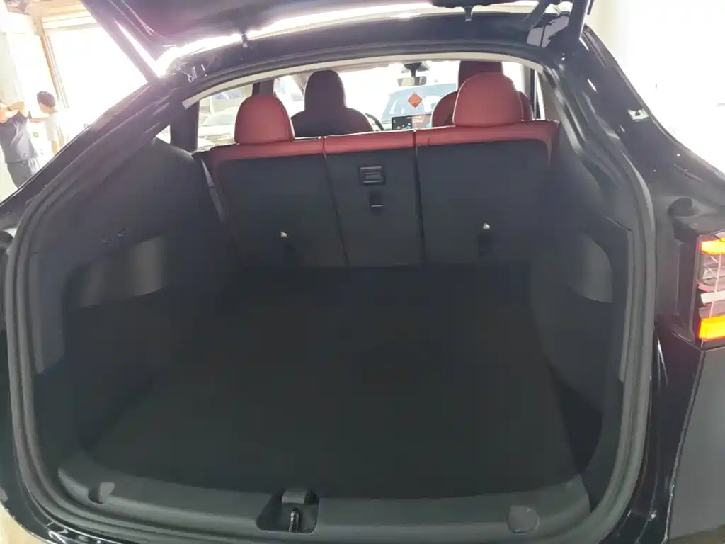 Tesla Model Y — миниатюра 19