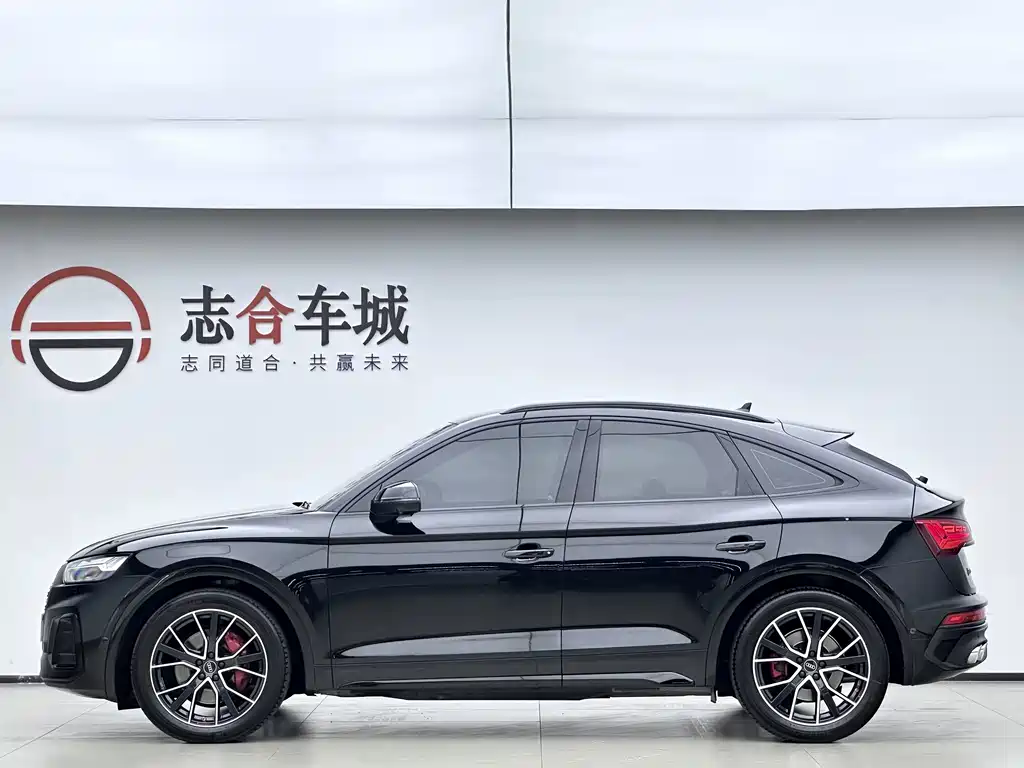 Audi SQ5 — миниатюра 9